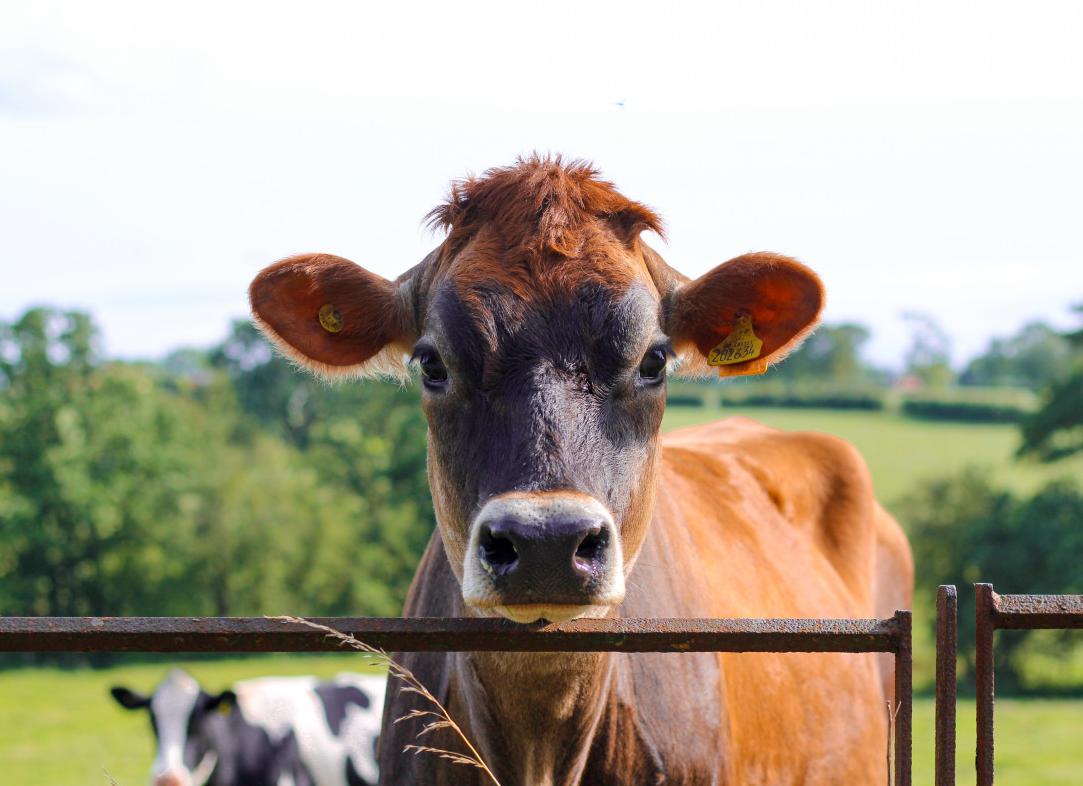 В каких случаях точно не стоит есть, если вы хотите похудеть